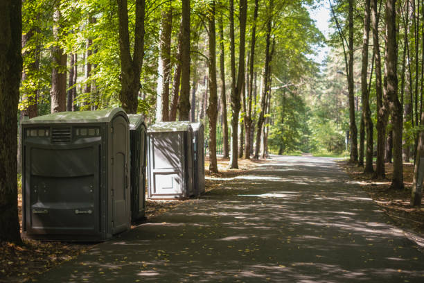 Best Affordable portable toilet rental  in Thoreau, NM